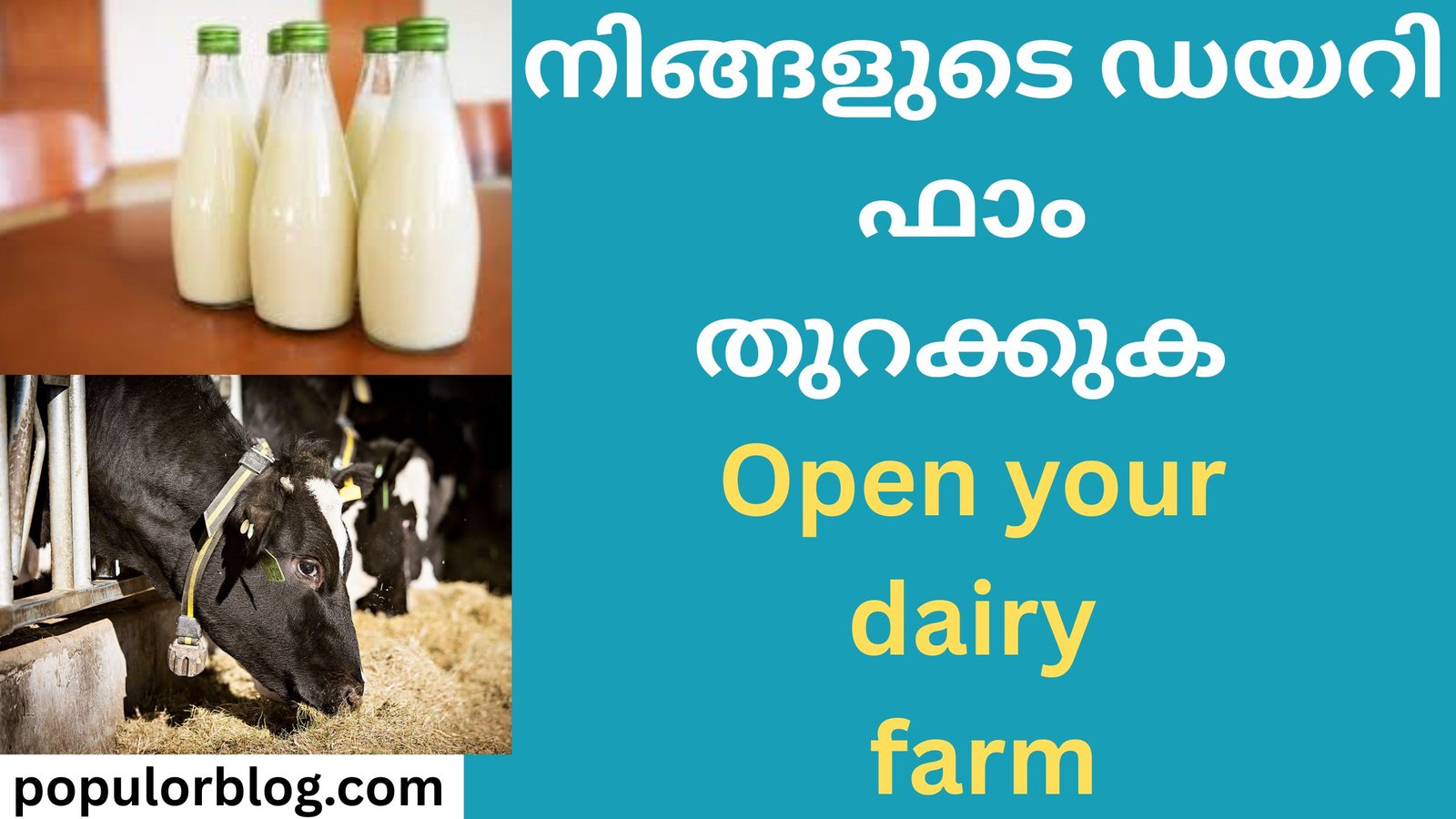 Open your dairy farm